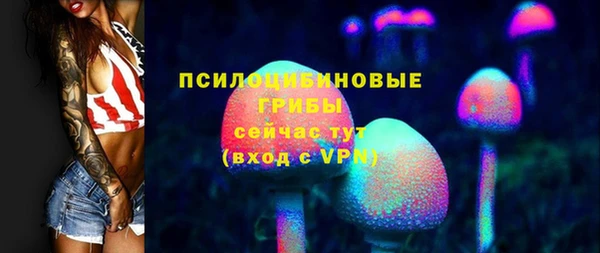 гидропоника Покачи