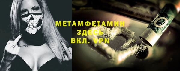 МДПВ Пересвет