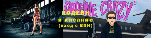 МДПВ Пересвет