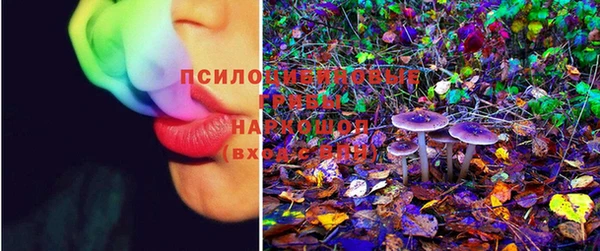 бошки Переславль-Залесский