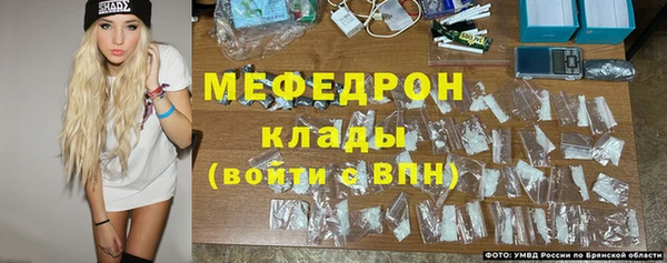 МДПВ Пересвет