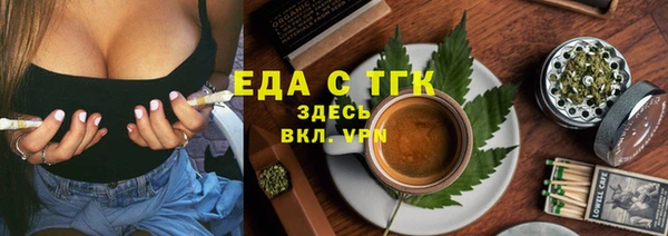 МДПВ Пересвет